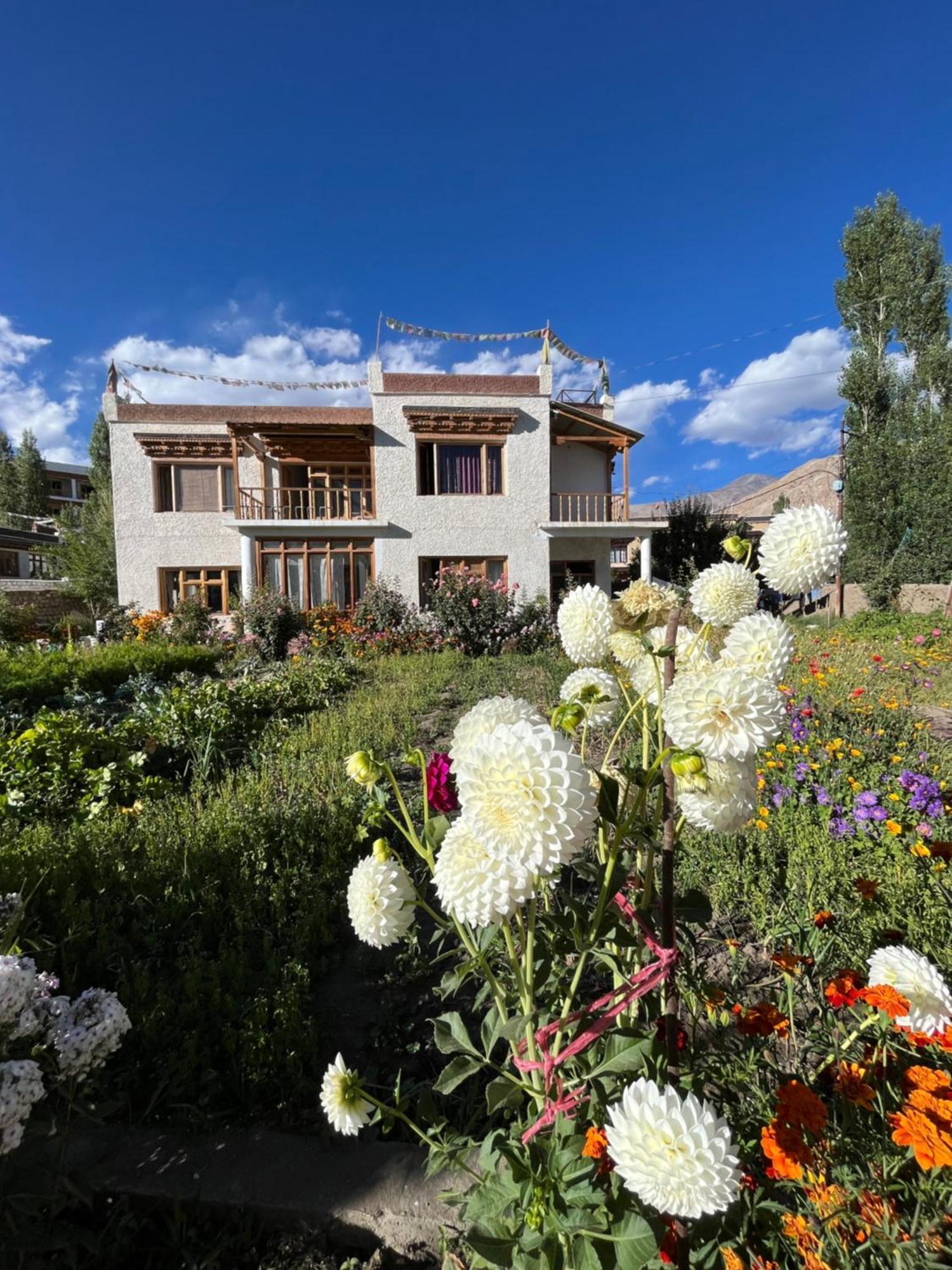 فندق Chakzot Garden House ليه المظهر الخارجي الصورة