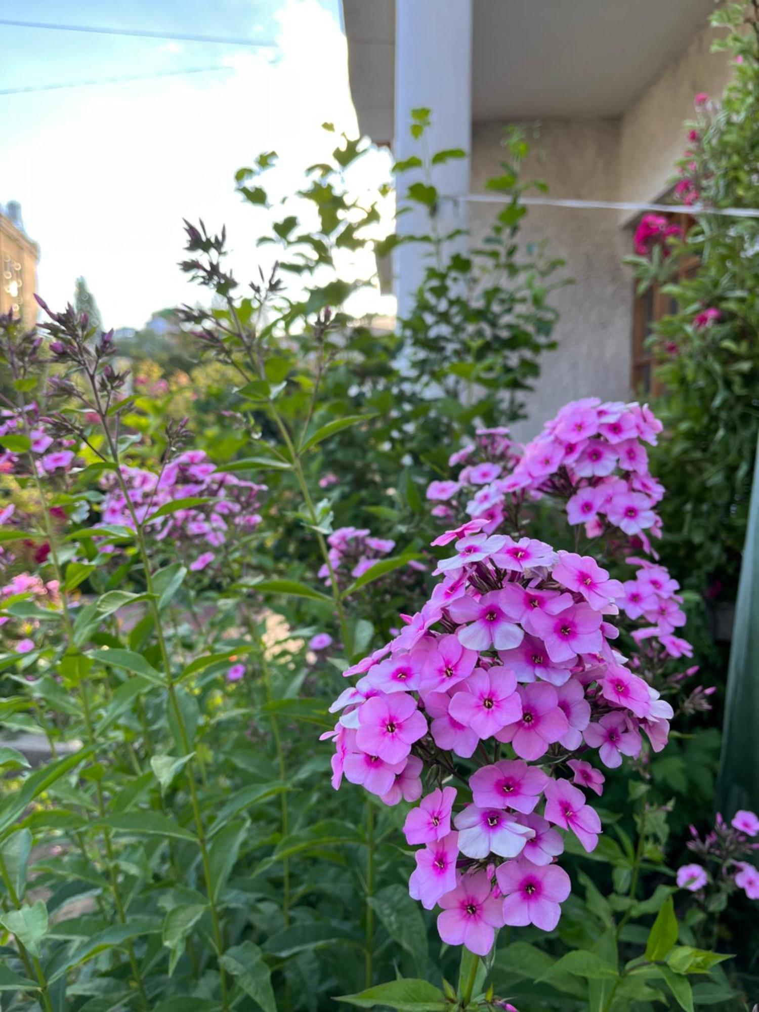 فندق Chakzot Garden House ليه المظهر الخارجي الصورة